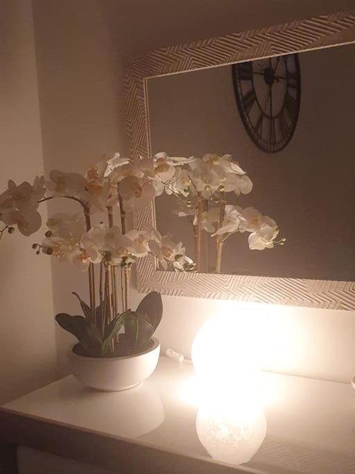 Orchidea Home Trieste Bagian luar foto